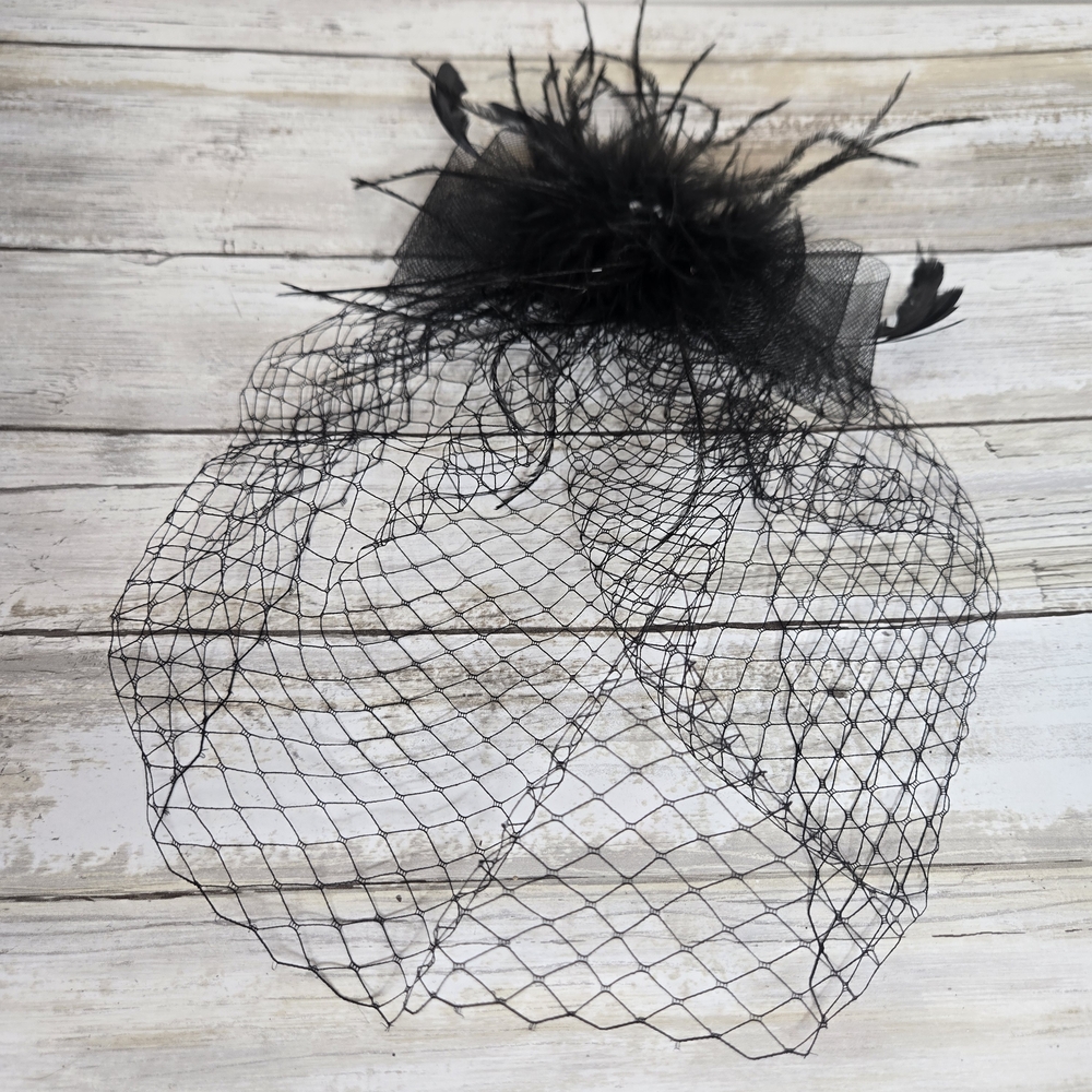Elegant Black Birdcage Veil
